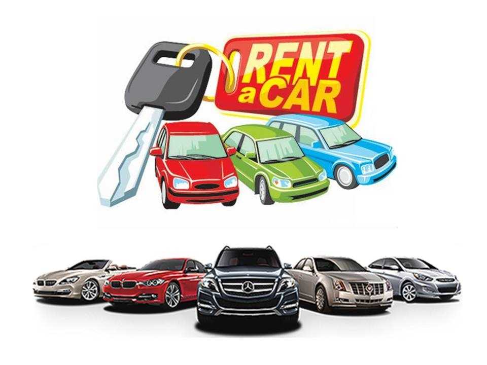 Ardıç Rent A Car
